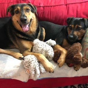 Meet your Posher, Rosemary hunter